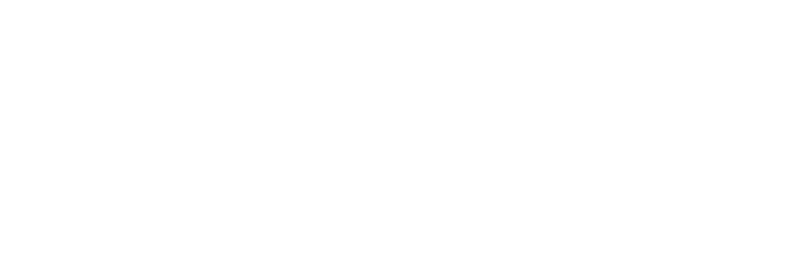 Li L9